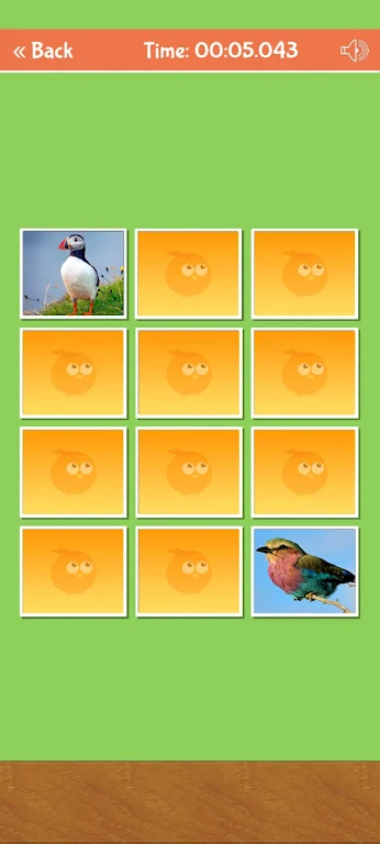 Birds Memory Match Game Captura de tela 1