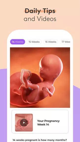 Pregnancy Tracker & Baby App 螢幕截圖 1