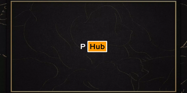 PoHub Application Screenshot 0