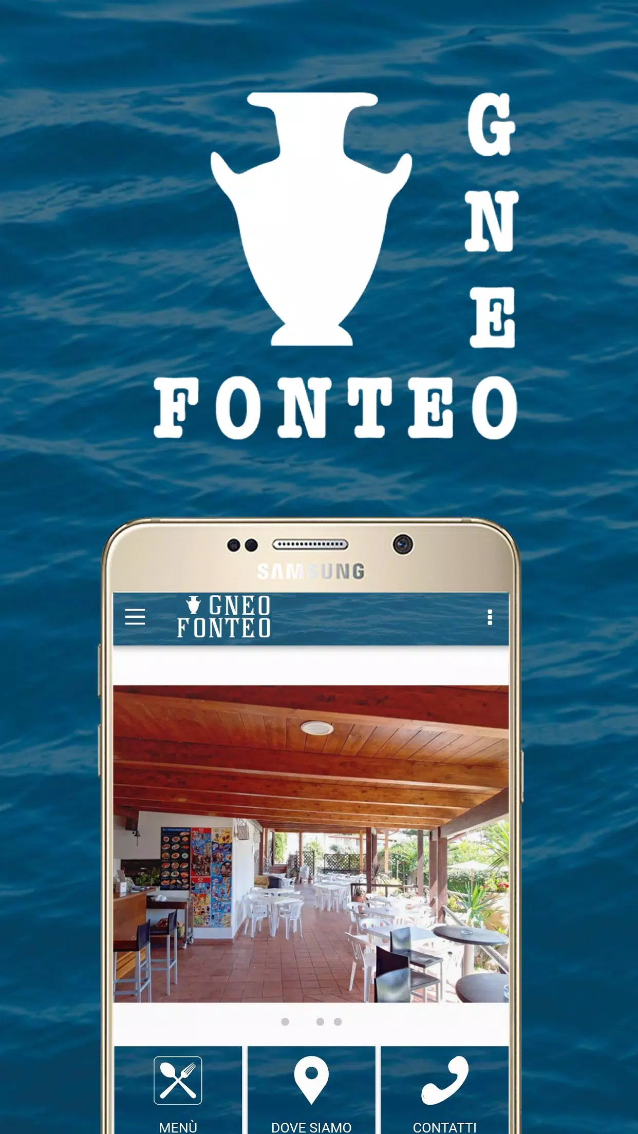 Gneo Fonteo 螢幕截圖 0
