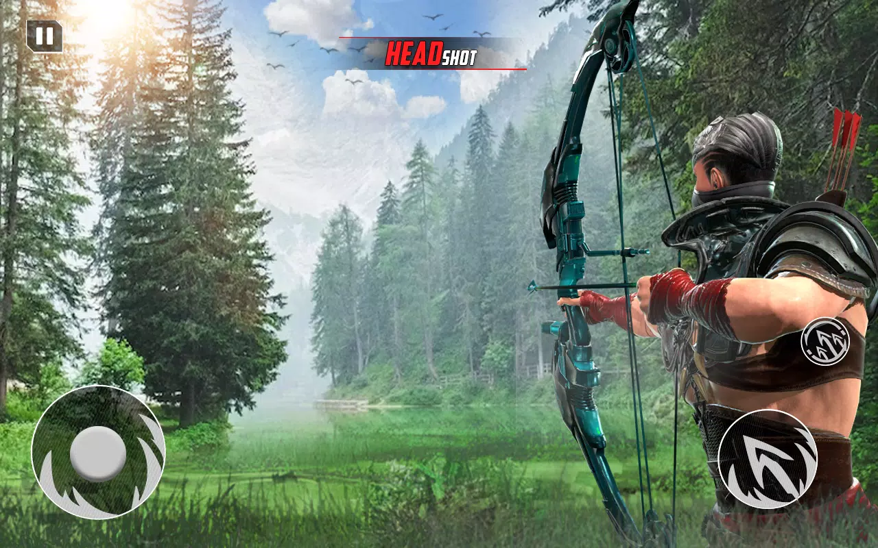 Archery Bow Hunt Shooting V2应用截图第0张