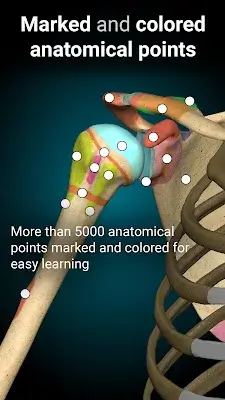 Anatomy Learning - 3D Anatomy Screenshot 2