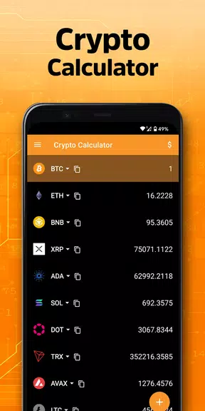 Crypto Calculator Capture d'écran 2