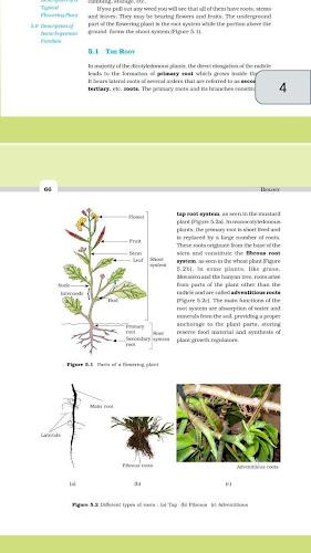 Class 11 Biology NCERT Book应用截图第1张