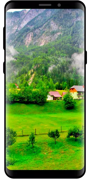 10000 Nature Wallpapers 螢幕截圖 1