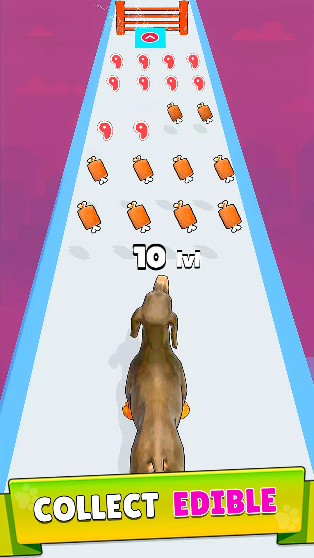 Dog Evolution Run Zrzut ekranu 2