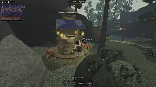 A Beaks player is standing in front of the Wishing Well