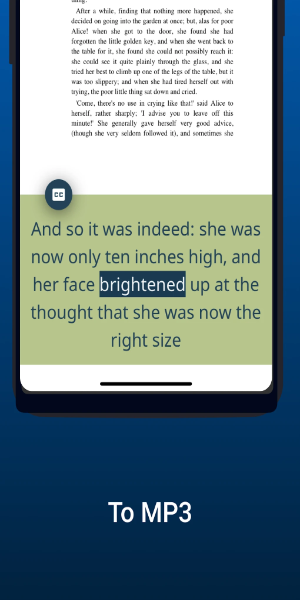 NaturalReader - Text to Speech Screenshot 2