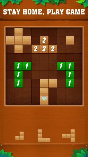 Tetrudoku: Block Puzzle Screenshot 0