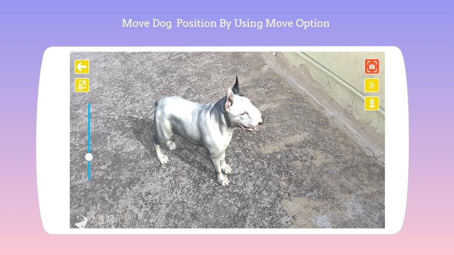 Dog play Ar スクリーンショット 1