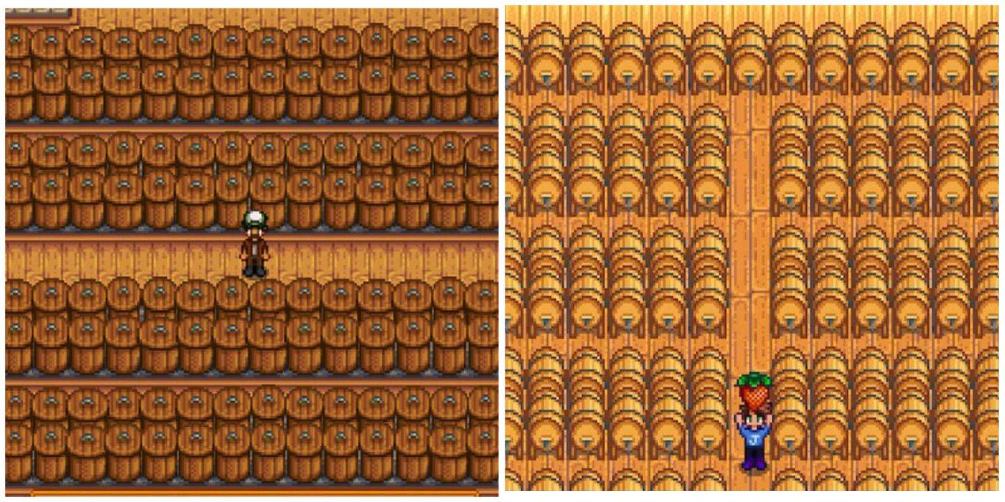 อัญมณีที่ซ่อนอยู่ของ Harvest Moon: Jars vs Kegs