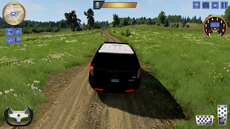 Police Simulator Car Games Cop Screenshot 0