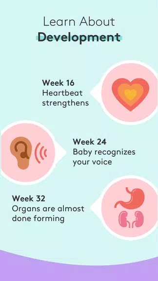 Pregnancy Tracker & Baby App 螢幕截圖 2