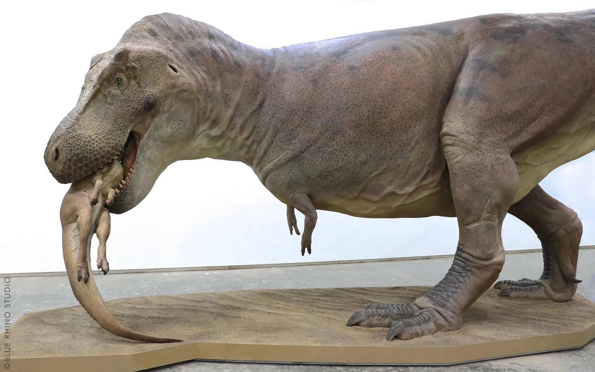 Life-sized T-Rex Model – Blue Rhino Studio
